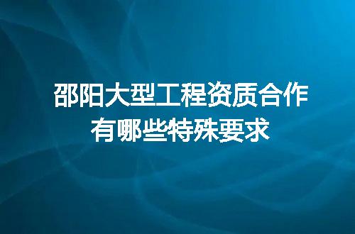 邵阳大型工程资质合作有哪些特殊要求