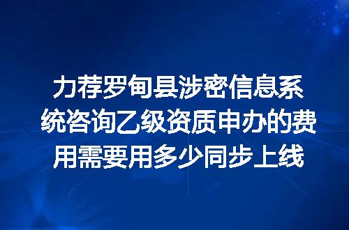 力荐罗甸县涉密信息系统咨询乙级资质申办的费用需要用多少同步上线