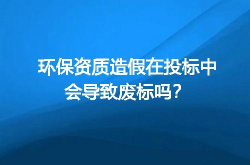 环保资质造假在投标中会导致废标吗？