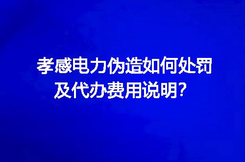 孝感电力伪造如何处罚及代办费用说明？