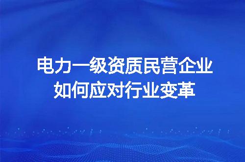 电力一级资质民营企业如何应对行业变革